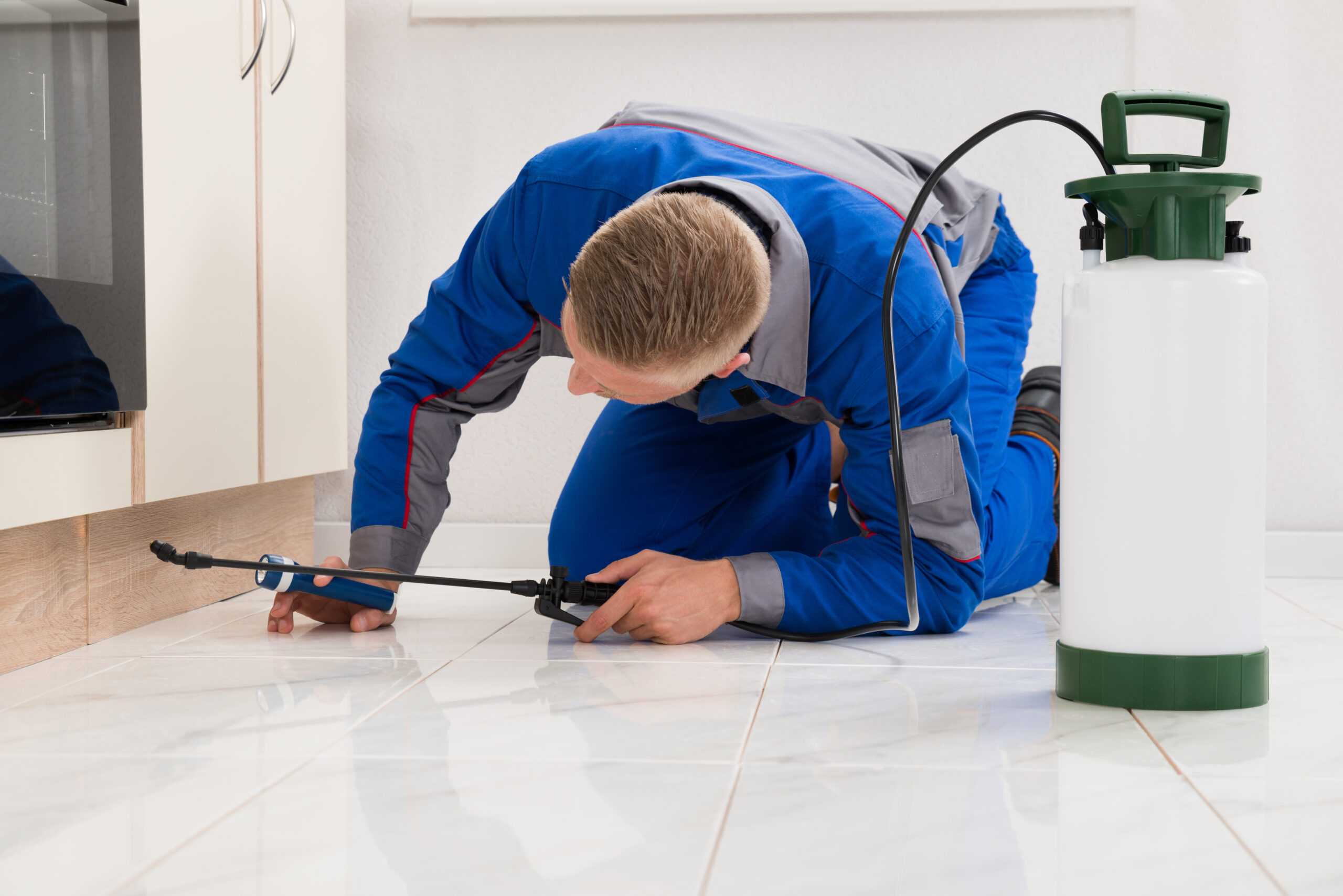 Federal Way Home Pest Control Services