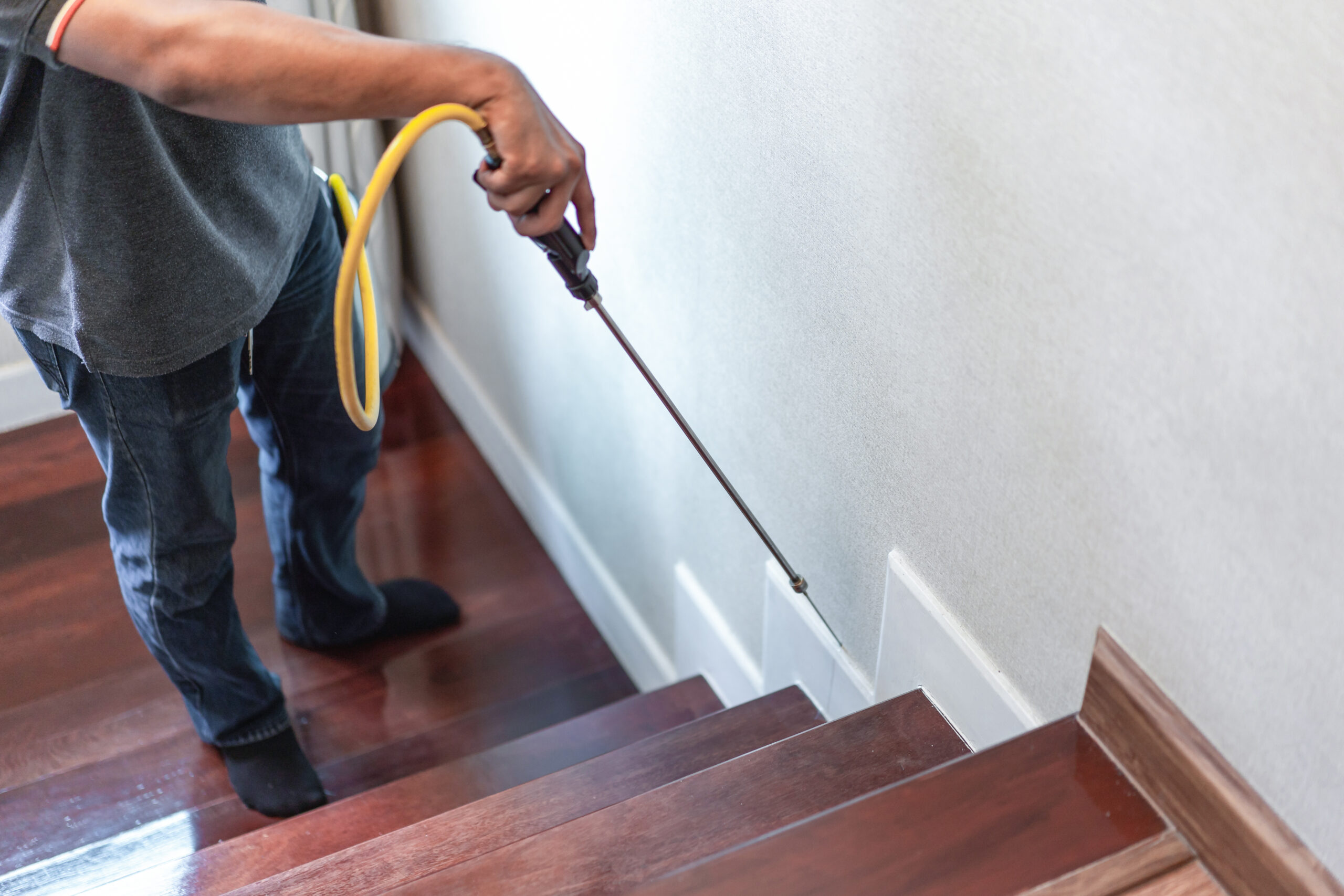 Bellevue Pest Exterminator