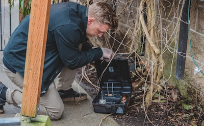 Federal Way Professional Pest Removal