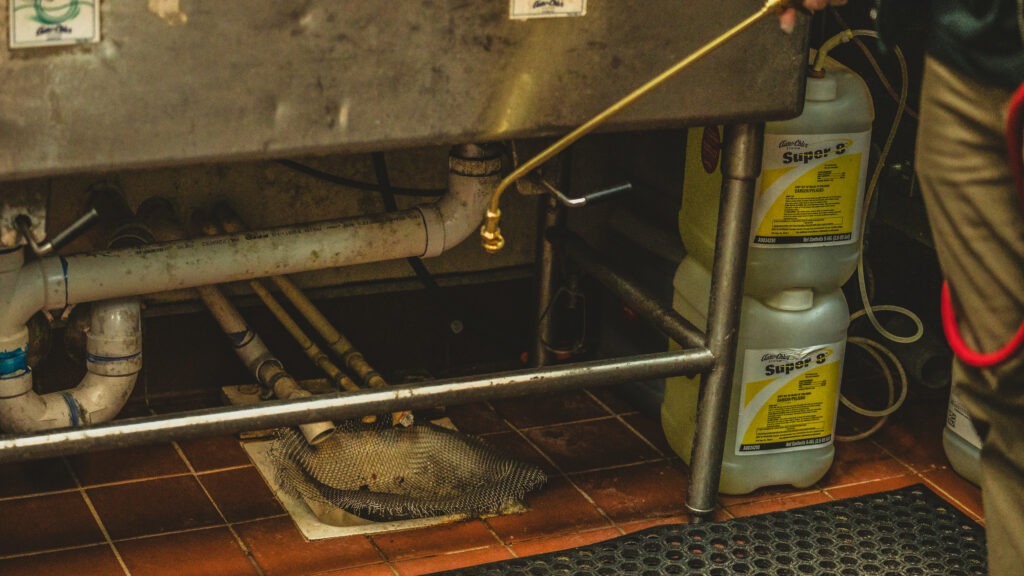 Commercial Pest Control Seattle