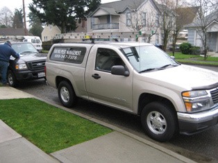 Eco Friendly Pest Control in Seattle