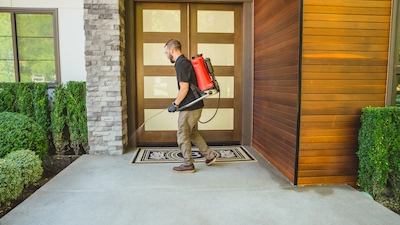 Pest Control Service Seattle